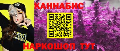 гашик Обнинск