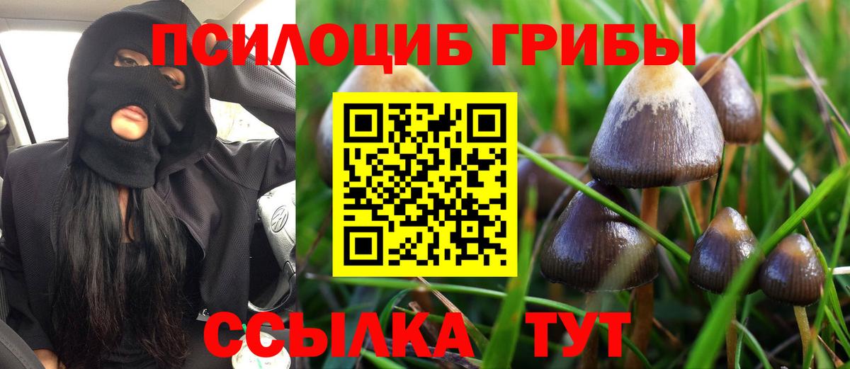 Саянск  Псилоцибиновые грибы прущие грибы  Вход с VPN 